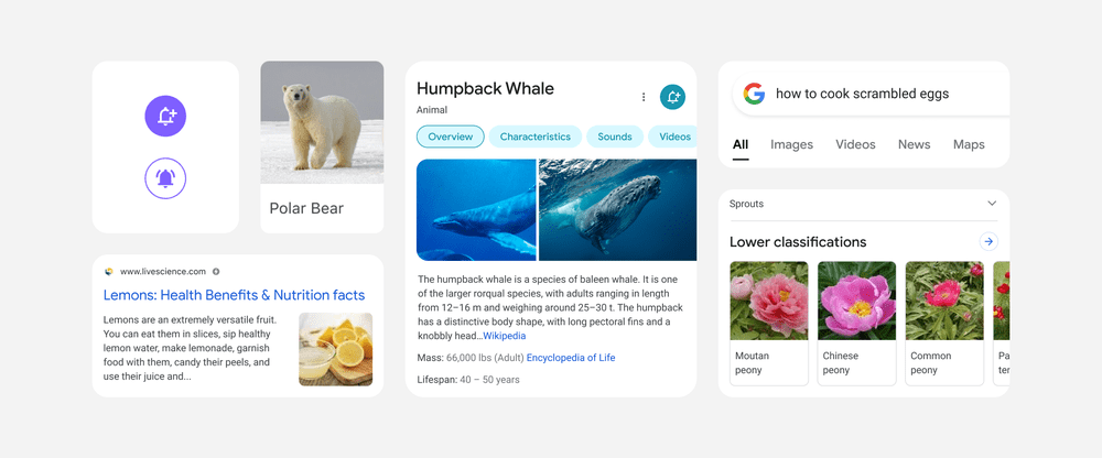 SERP GOOGLE
