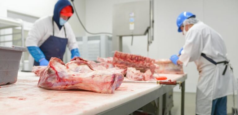 Digital transformation in the food industry